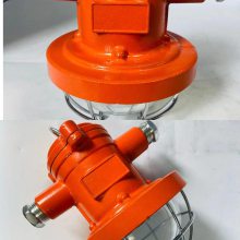 DGC18-22/127L（A）铸钢圆形采掘工作面支架灯 矿用隔爆型LED支架灯