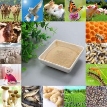 青岛慧瑞源生物科技有限公司