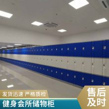 健身会所更衣柜厂家直销 防水防锈储物柜一站式解决方案上门安装