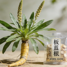 ����������У��������ɷַ���