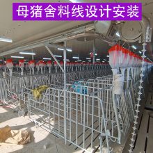 母猪舍 定时定量饲喂 猪用自动化喂料线 规模化猪场 设计安装