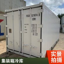 大中小型速冻库 自动控温 各种规格库出租 集装箱冷库 移动速冻库