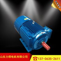 YVP-225M-4/45kw첽 YVPϵбƵٵ綯 Ƶ