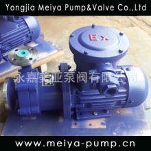 CQ type magnetic driven pump