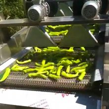 蔬菜沥水风干机 连续式水果风干机 豆干包装翻转风干机明敏制造