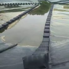 HDPEĤ   ֳ ɶ0.5mm