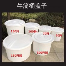 腌制酸菜大口桶 可定制盖子 200升大缸圆盆