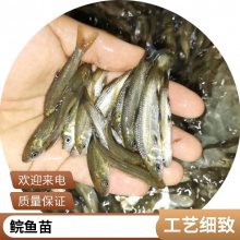 ߲ ͽ˿ 糡Ӧ