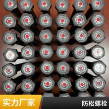 塔吊标准节螺丝 预警螺母  上海爱立胜工业 SmartBolts美国进口 防松螺栓