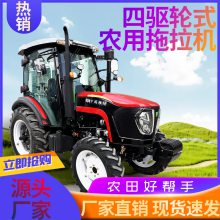 HB-704 ũϴؿ ĸ8+8λ