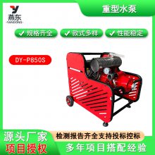 ˫׷ĳıDY-P850SˮɭԮˮ