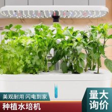 厂家供应大棚无土水培种植种菜设备立体蔬菜培育无土栽培阳台花盆