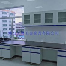 顺德全钢通风柜实验室储存柜生产快速安装经久耐用