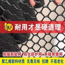 苗床用踩踏网塑料平网 鸡鸭鹅塑胶网 水产品养殖网