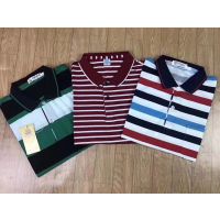 ͼװTڵ̯Ǯװʿpolo