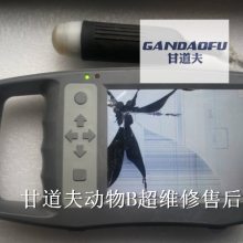 ţBά޷ۼ۸
