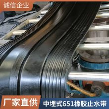 建筑隧道工地密封用 铭冠中埋式651型橡胶止水带 防渗抗化学腐蚀
