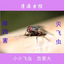 ԴأʳƷۺϳ溦鳧 溦Ʒ