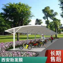 设计新款膜结构车棚伞形膜结构汽车停车篷渭南冒顶型轿车停车蓬