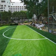 �����˶��������ڸ�������ֲ�ٲ�Ƥ�����̻�����ֲ��ٲ�ƺ�ص�