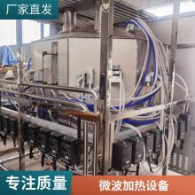 活性炭分子筛除湿设备 微波炉烘干陶瓷颗粒机