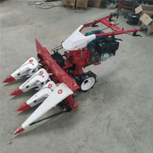 òͶ๦ո «έ׽ոѸɹ ʽݸɹ