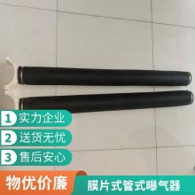 美国SSI膜片式微孔曝气管 AFT21000-E可提升式管式曝气器