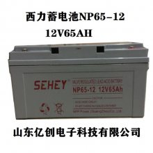 SEHEYNP17-1212V17AHӦϵͳ 