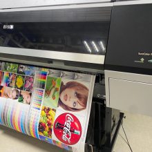 epsonEPSON9908ƬװλƷīӡɫīB0+/44Ӣ