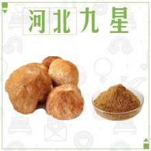食品级猴头菇提取物厂家 食用猴头菇浓缩粉末原料