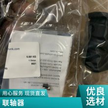 欧式低净空 BRIMA环链电动葫芦欧 DEMAG 德马格提升机楠