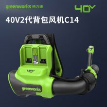 格力博（greenworks）二代40V背包式吹雪机充电式吹叶机***吹灰机BLF451