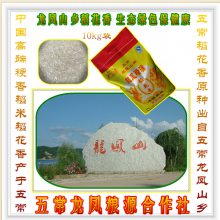 Բֱ20ԭֲ峣ɽԴ絾2Ŵ