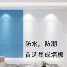 PVC����ǽ��ҽ�� ̼���� �������� ������ˮ ֧�ֶ��� �����ȫ