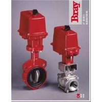 BRAYִ92-0630-11300-532