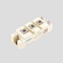 ſSKM50GB063DIGBTģ
