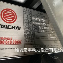 潍柴柴油机WP7G300E300非道路三泵机发动机