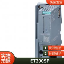 6ES7ϵPLC6GT2200-0DA01 24VDCѹ