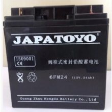 6GFM-17 ֱ 12V17AH UPS/EPSӦԴ