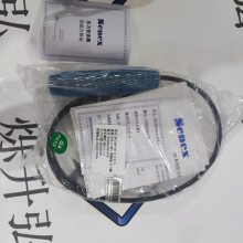 供应SENEX压力变送器DG1215-BZ-B-3-0.12/G3/8应用于食品卫生油田