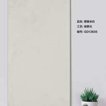 Ļǽ ǽ ˮϵ ֥׵ʯ 2.0ֺ 60*60cm