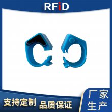 艾德沃克高频RFID动物脚环 动物身份标签 鸽子鸡鸭鹅脚环