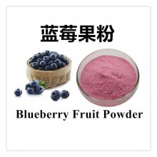 蓝莓粉 食品饮品糕点原料 斯诺特生物 水溶都柿果粉