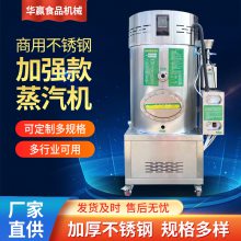 燃?xì)饬⑹缴逃谜羝麢C(jī)天然氣鍋爐蒸汽發(fā)生器節(jié)能高效