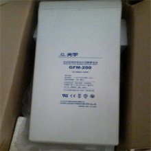 GFM-1300_2V1300ah_רҵ