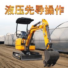 Сڻ20Ǯ ϬţСھ ̽΢ͼƬ