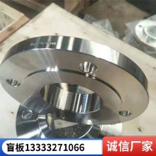 振中可支持定制 压力容器锻打对焊高压法兰碳钢非标
