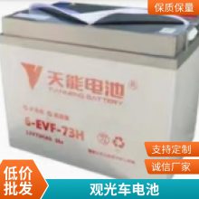 6-EVF-100/80 12V100AH80AH泵 ϴػ ֵ綯