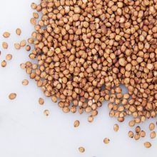河北美亚泰凯生产厂家 品质检测分选机 粮食异物检测机 大豆分选机 玉米分选机