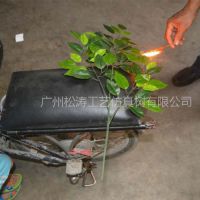 防火榕树叶厂家定做 广州防火阻燃榕树 假树叶仿真树叶厂家批发